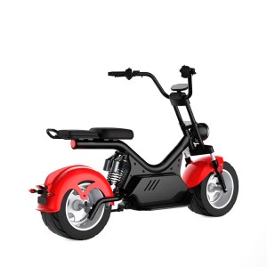 SoverSky SL4.0 Citycoco Harley Scooter