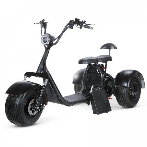 T7.0 SoverSky Electric Adult Mobility Trike