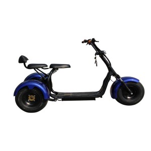 SoverSky Elf-T7  Citycoco Three Wheel Electric Scooter
