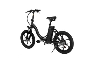 electric bike